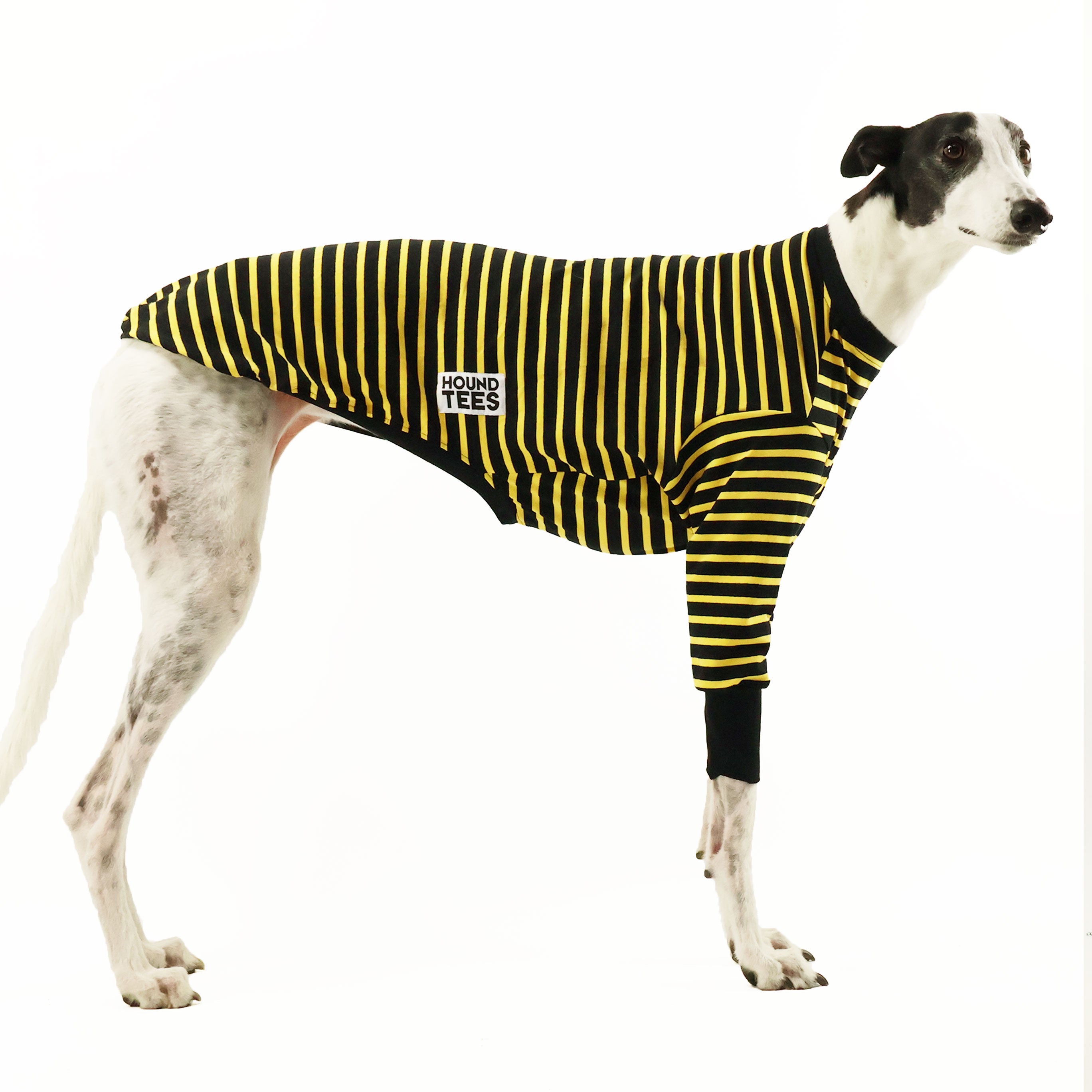Bumble Greyhound Long Sleeve Hound T-Shirt - Comfortable Dog Lover Apparel for Casual Wear & Outdoor Activities