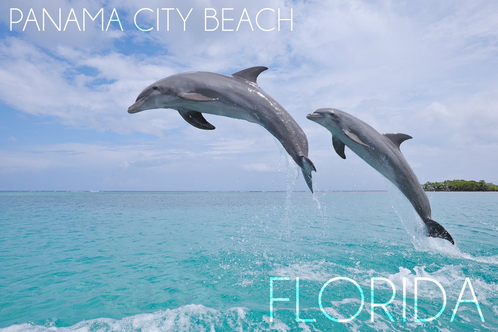 Signed Jumping Dolphins Art Print 24x36 - Florida Panama City Beach Wall Decor Poster | Perfect for Living Room, Bedroom & Office