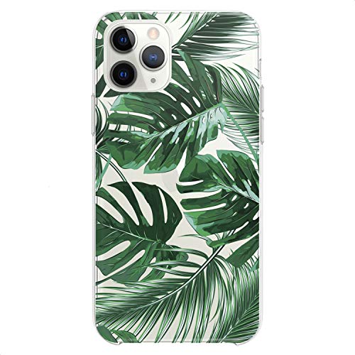 Monstera Leaves