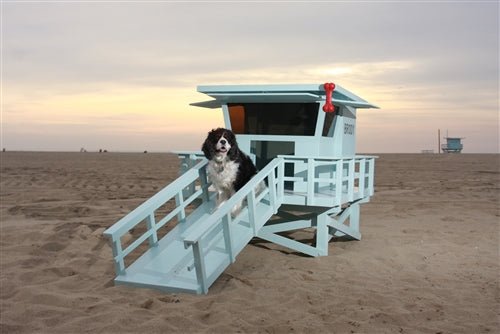 Custom Exclusive Lifeguard Stand Dog House - Unique Outdoor Pet Shelter for Beach & Poolside Use