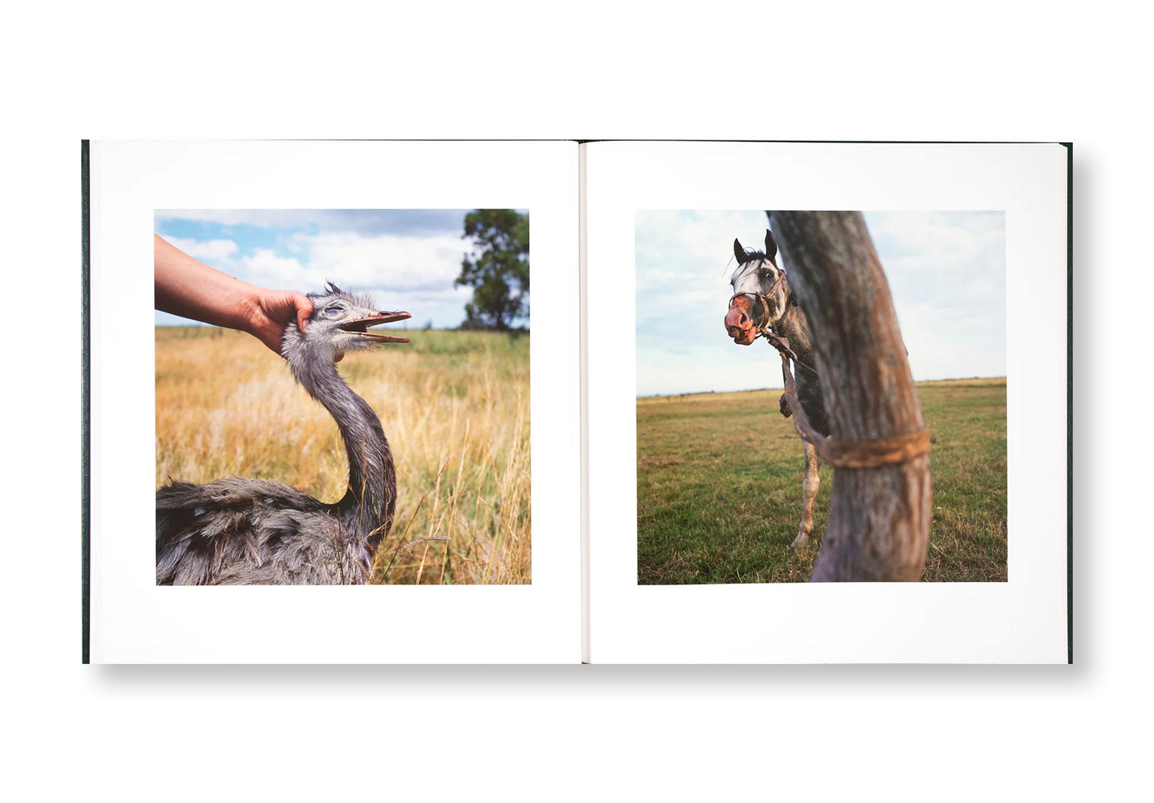 ON THE SIXTH DAY by Alessandra Sanguinetti - Photography Book, Art Book, Contemporary Photography - Perfect for Art Lovers, Photography Enthusiasts, and Coffee Table Decor