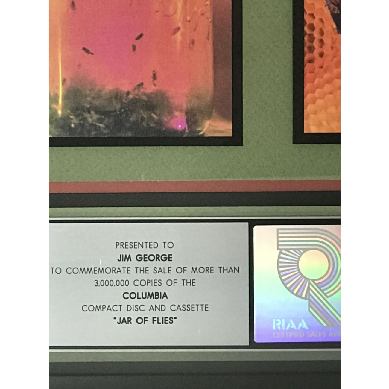 Alice In Chains Jar Of Flies 3x Platinum Album Award - Official RIAA Certified - Perfect for Music Collectors & Rock Fans Display