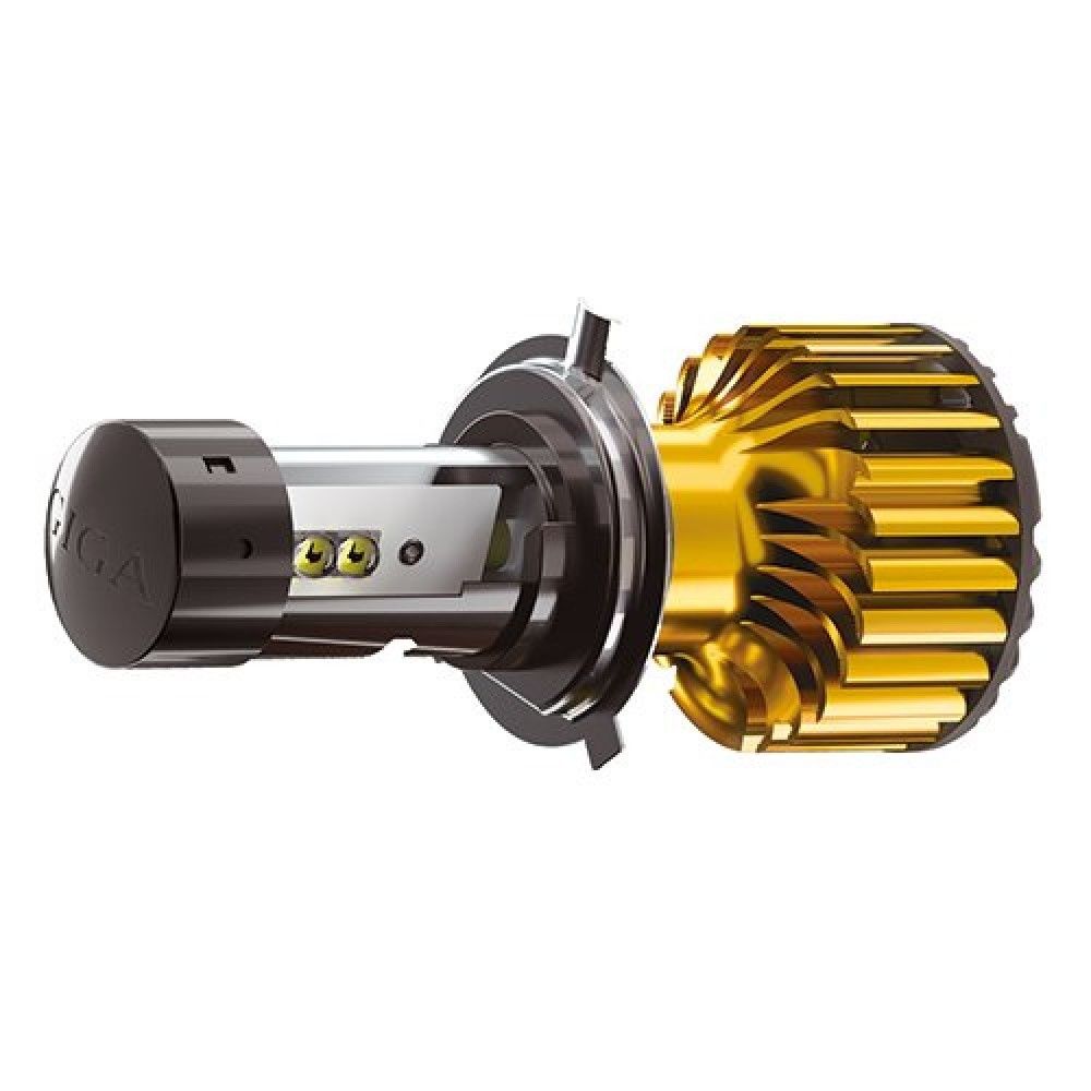 CARMATE Giga Golder LED Headlight Bulbs H8 H9 H11 H16 6500K White Light - High Brightness for Cars, Trucks, SUVs - Perfect for Night Driving and Foggy Conditions