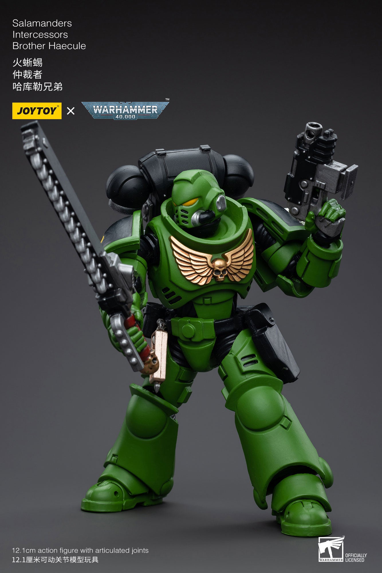 JOYTOY 1/18 Scale 3.75 Inch Warhammer 40K Salamanders Space Marine Intercessors Brother Haecule Action Figure - Reissue Collectible Model for Tabletop Gaming & Display