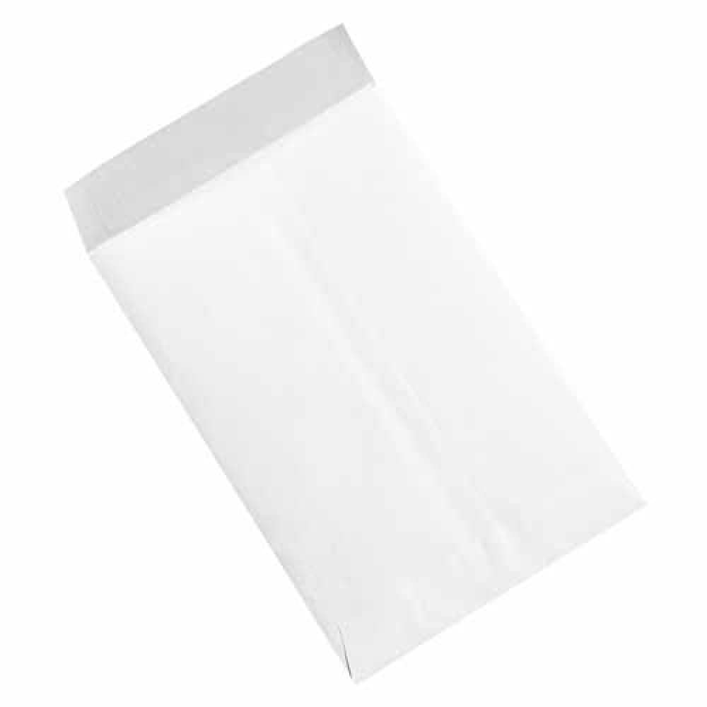 10 x 13 Inch Flat Ship-Lite Envelopes - Lightweight Mailing Solution for Documents, Photos & Small Items - Perfect for Business, Office & Home Shipping Needs