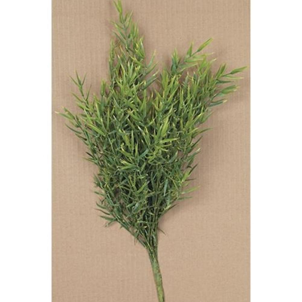 Fresh Dill Leaves Bush - 15 Pack | Organic Culinary Herb for Cooking, Pickling & Garnishing | Perfect for Salads, Soups, Seafood & Mediterranean Dishes