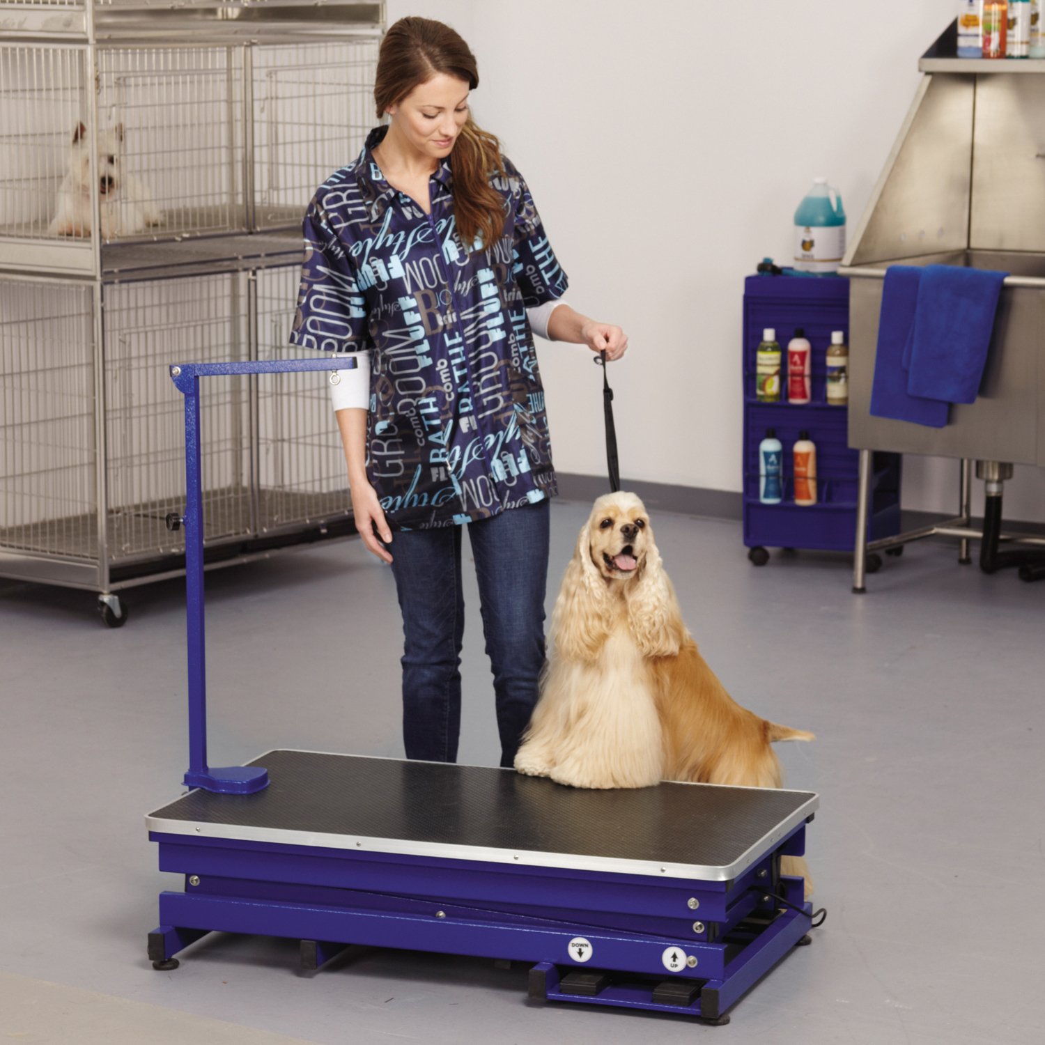 Master Equipment Xtend Electric Grooming Table for Dogs & Cats - Adjustable Height Blue Pet Grooming Station for Professional & Home Use