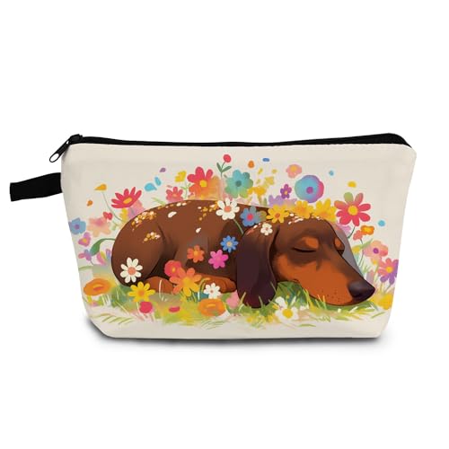 Dachshund 01