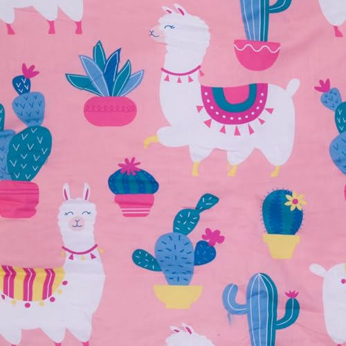 Llama and Cactus