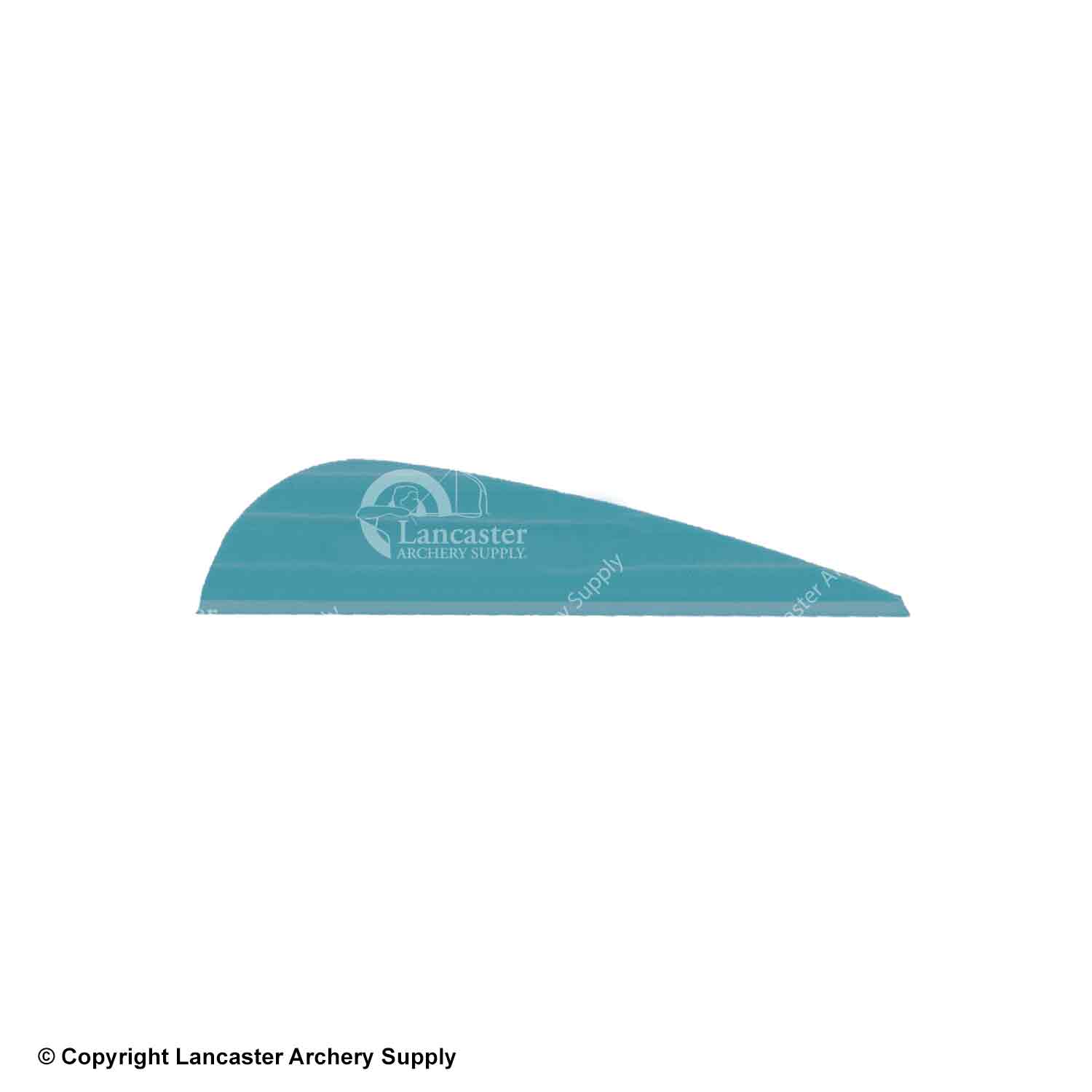 AAE Elite Plastifletch 16 and 23 Vanes (100 Pack) - High-Performance Archery Vanes for Hunting and Target Practice