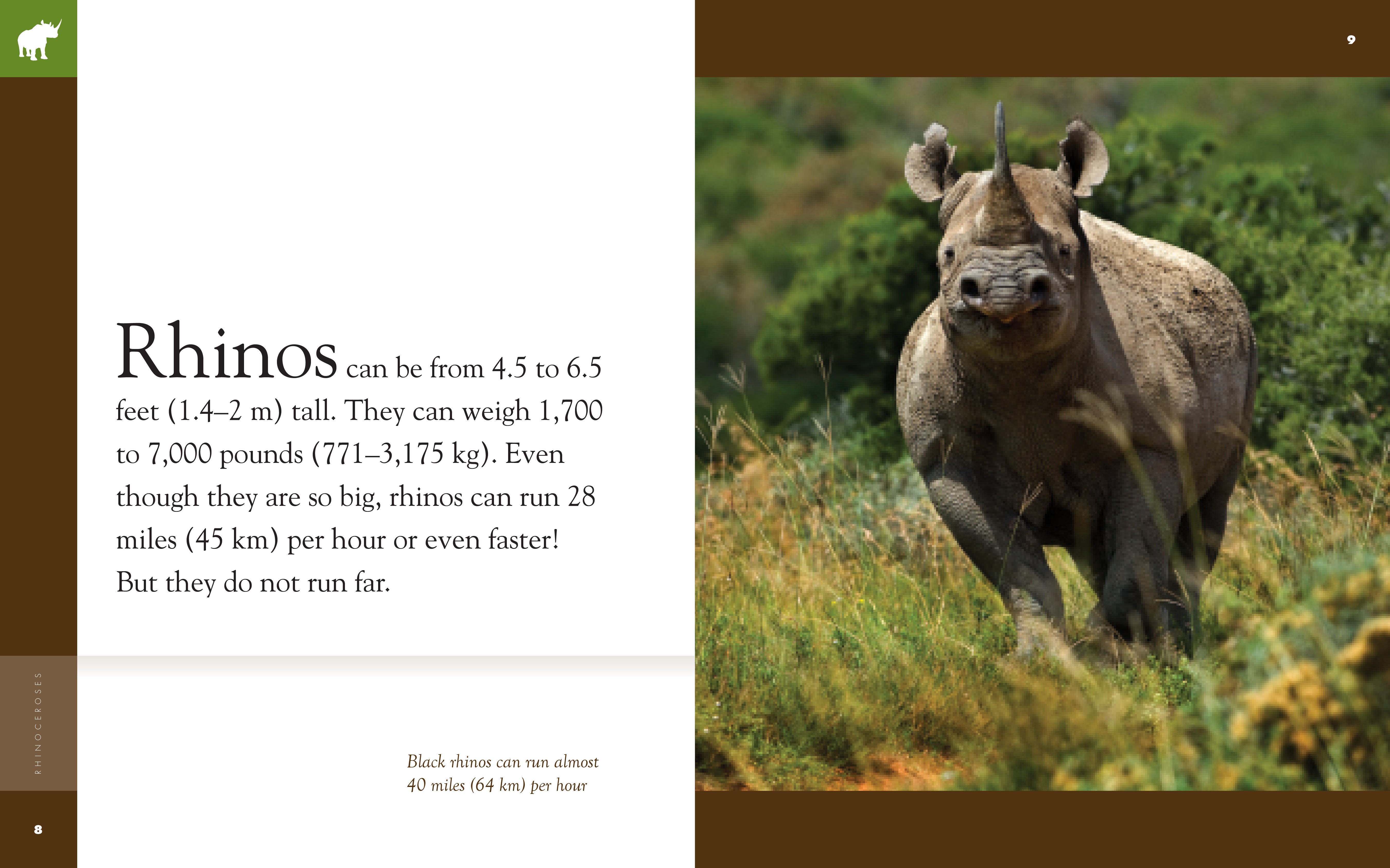 Amazing Animals (2014): Rhinoceroses - Educational Wildlife Documentary DVD | Learn About Rhino Species, Habitats & Conservation | Perfect for Classroom Teaching & Nature Lovers