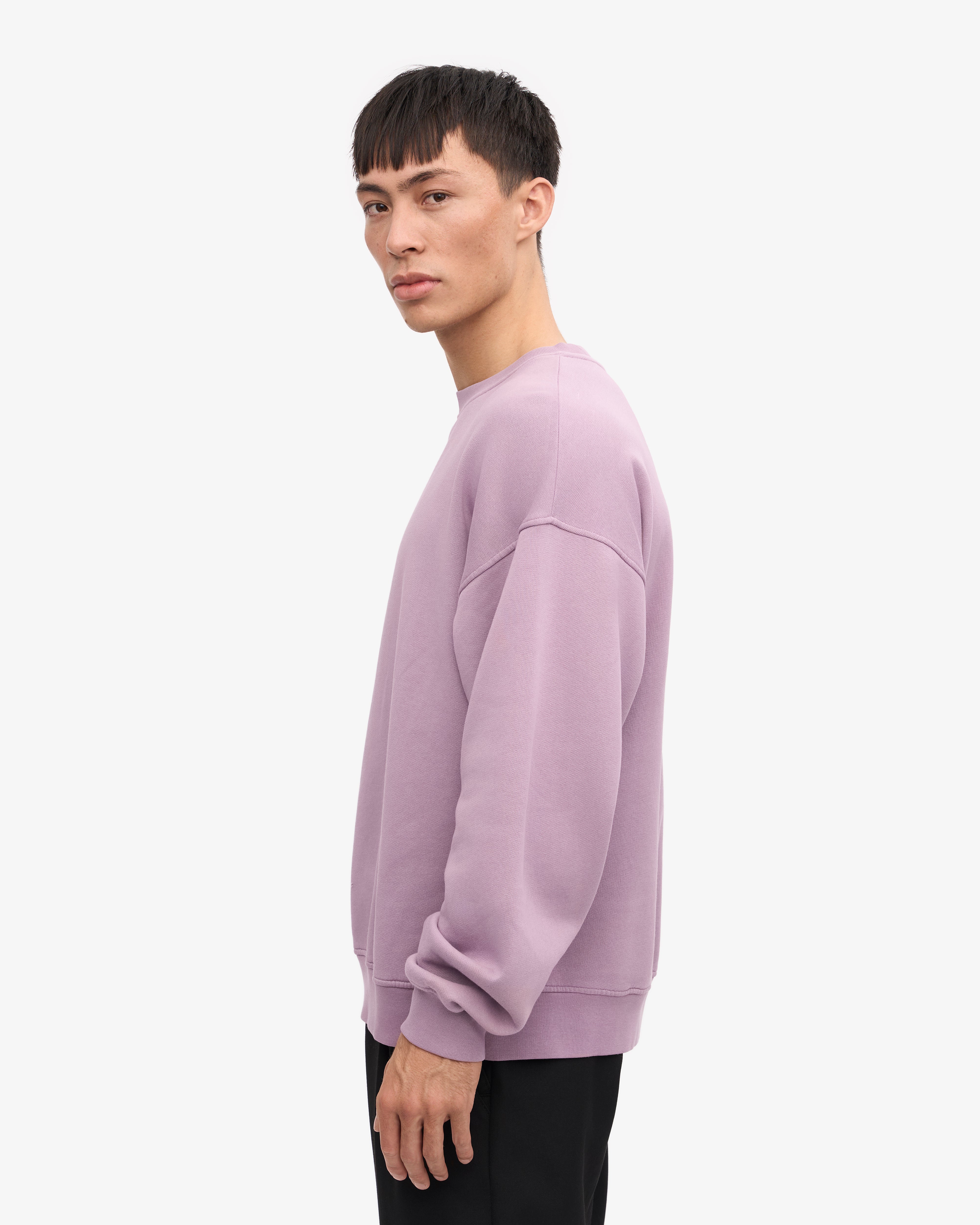 Organic Oversized Crewneck Sweatshirt for Women - Soft & Comfortable Pearly Purple Pullover for Casual Wear, Lounge & Street Style