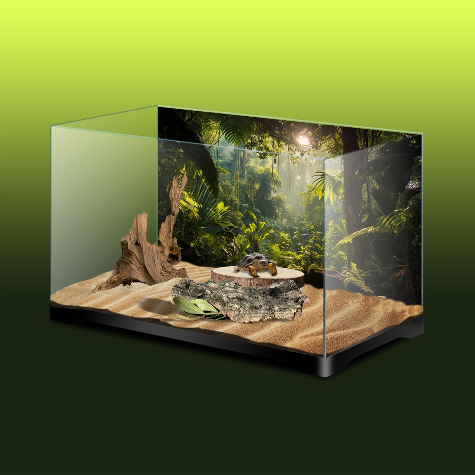 31x15 Inch Aquarium Background Poster - Forest & Jungle Tank Backdrop for Terrariums, Fish Tanks, Reptile Habitats | Perfect for Home Decor, Office Aquascaping & Pet Enclosures