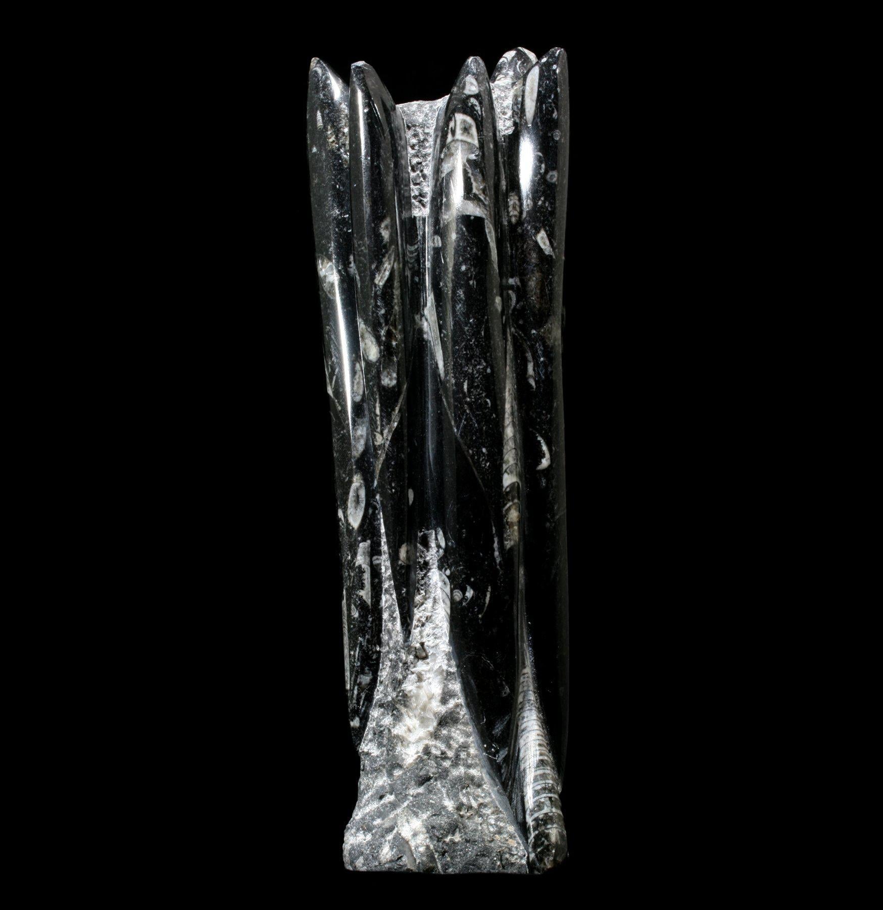 Orthoceras Fossil Stand - Premium Display Holder for Ancient Shell Fossils - Perfect for Home Decor, Office Desk, and Geology Enthusiasts