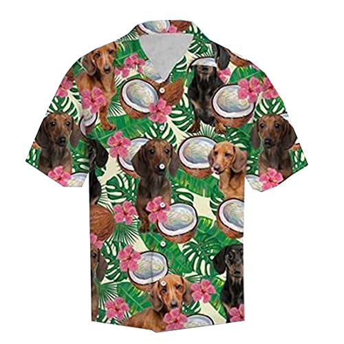 Dachshund 08