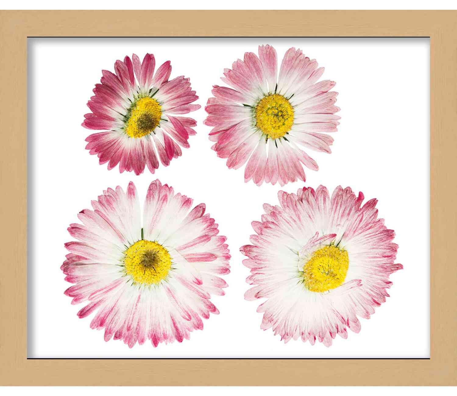 16x18 Shadow Box Frame - Traditional Natural 15/16