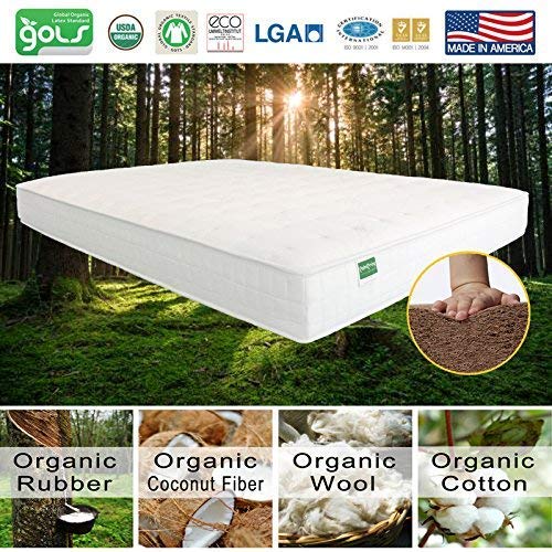 Organic Coconut Coir Mattress - Palmpring Natural Latex & Coconut Fiber Queen Size Mattress for Back Pain Relief | Breathable, Hypoallergenic, Eco-Friendly Bed for Home, Guest Room & Dorm Use