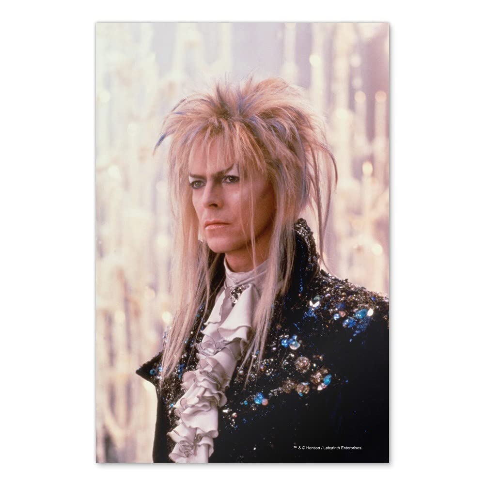 David Bowie as Jareth from Labyrinth Wall Art Poster - Vintage Movie Decor, Home & Office Decoration - Perfect for Bowie Fans, Gift Ideas & Pop Culture Rooms