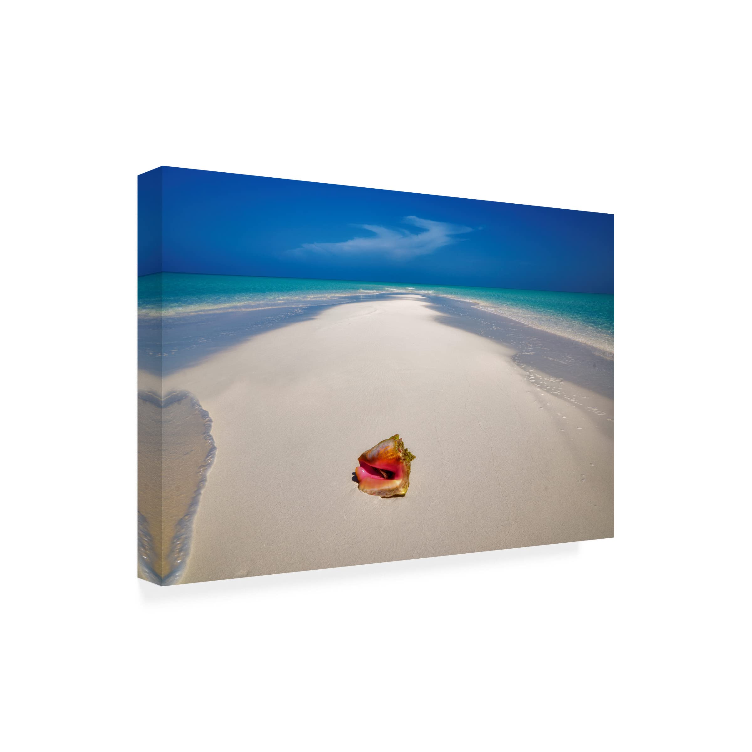Dennis Frates 'Beach Treasures 5' Canvas Wall Art Print - Coastal Decor for Living Room, Bedroom & Office - Trademark Fine Art Collection