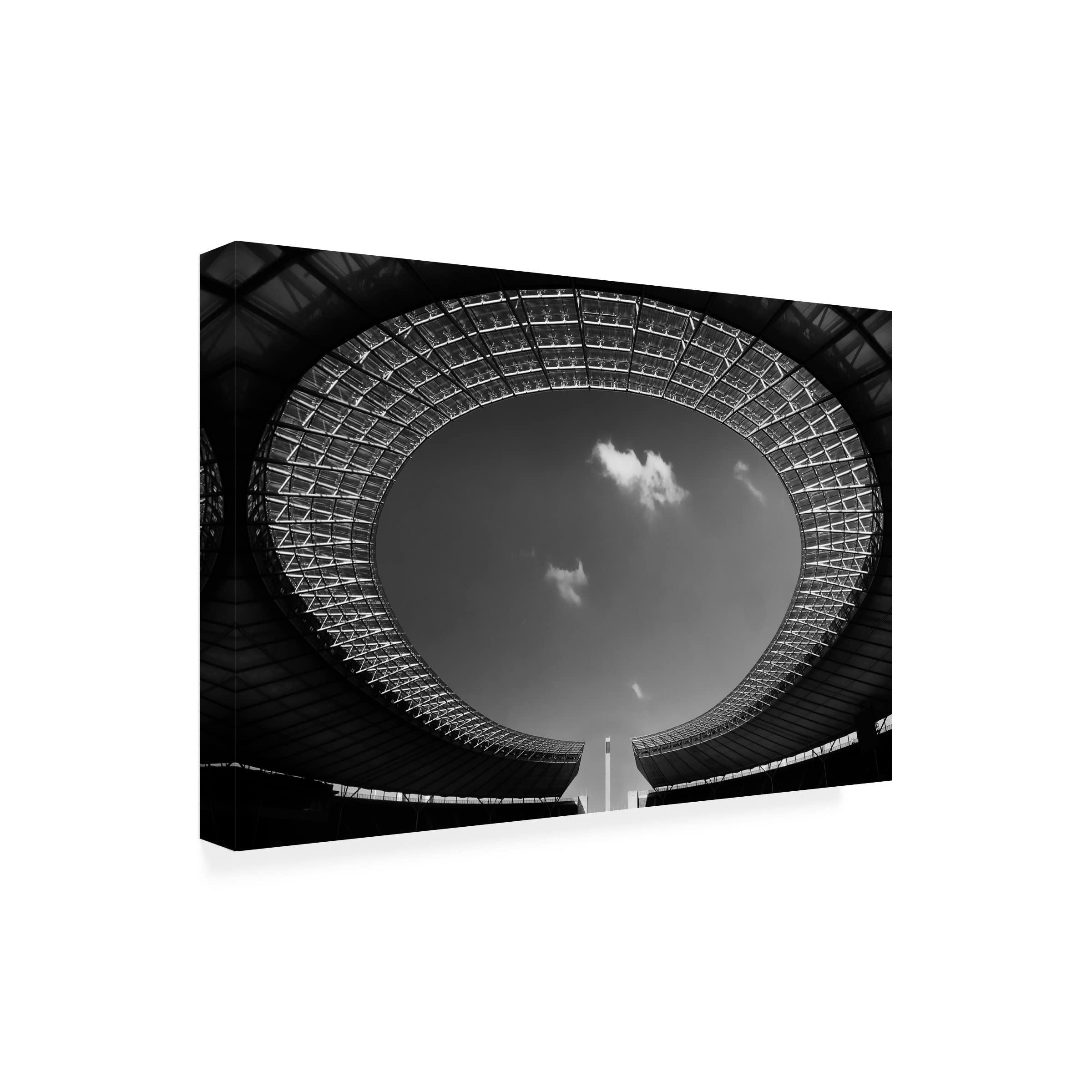 Trademark Fine Art 'Oval' Canvas Wall Art by Hans Wolfgang Hawerkamp - Elegant Home Decor for Living Room, Bedroom & Office