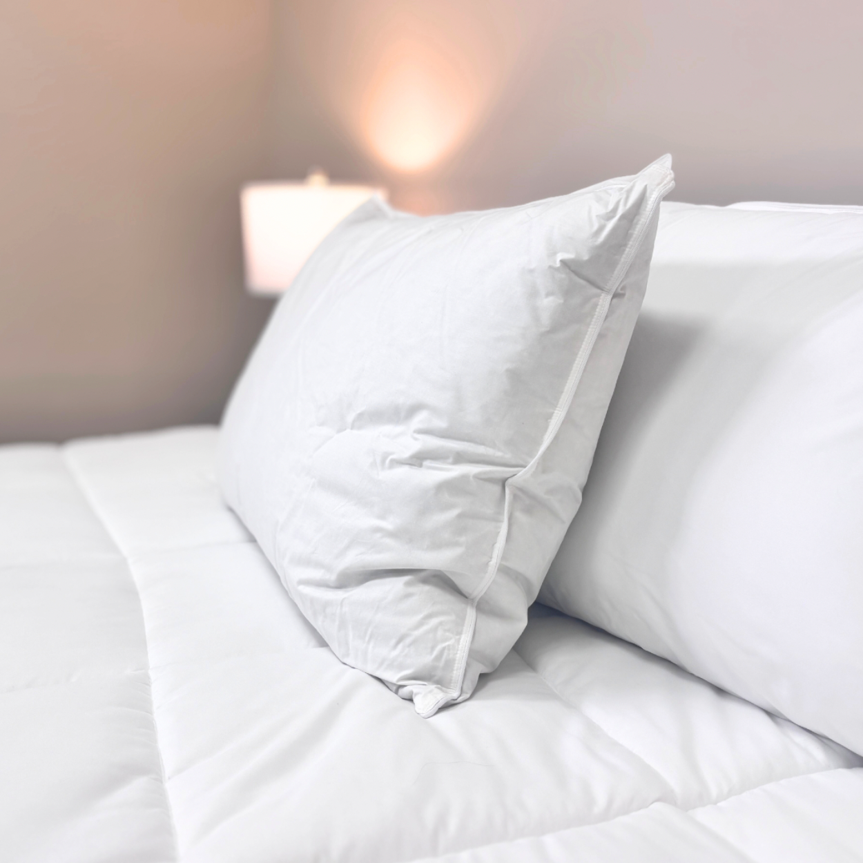 Premium Downlite 50/50 Waterfowl Feather & Grey Down Pillow - Ultra Soft & Supportive for Side, Back & Stomach Sleepers - Perfect for Bedroom, Guest Room & Hotel Use