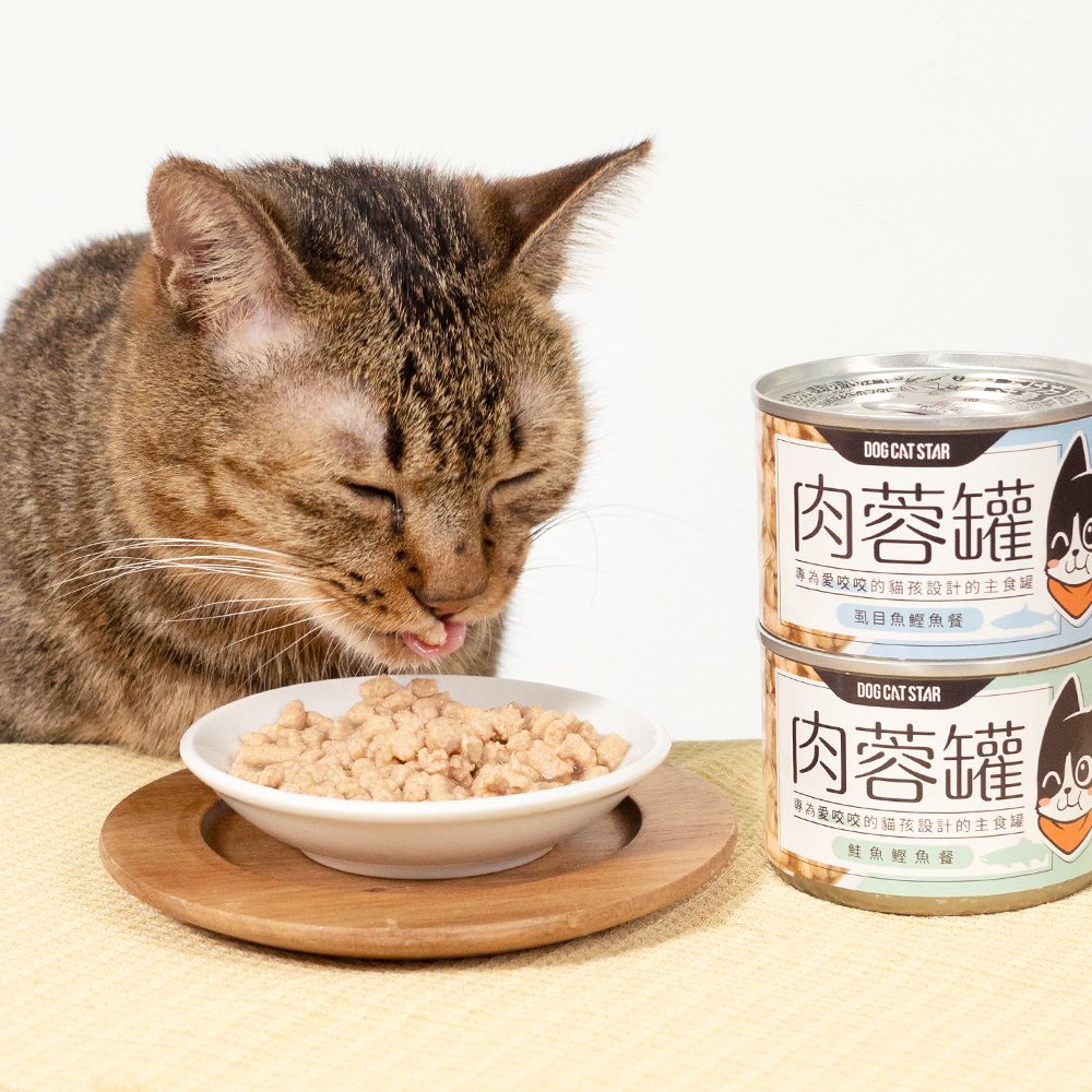 Premium Mini Salmon Meatball Cat Food - Grain-Free, Complete & Balanced Wet Food for Adult Cats - Perfect for Mealtime, Training Treats & Picky Eaters