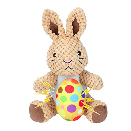Rabbit(1 Pack）