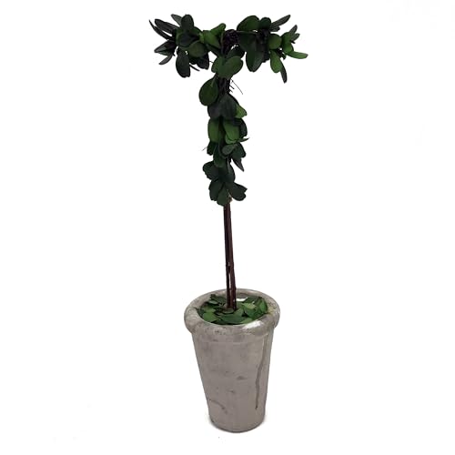 Forest Green - T