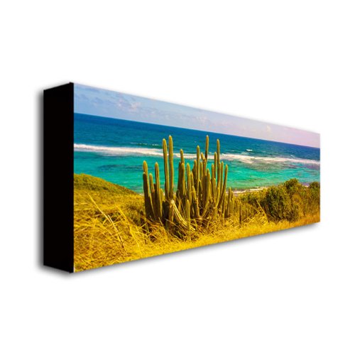 Preston St. Croix Beach Canvas Wall Art - 16x47 Inch Coastal Decor for Living Room, Bedroom & Office - Trademark Fine Art Seascape Painting