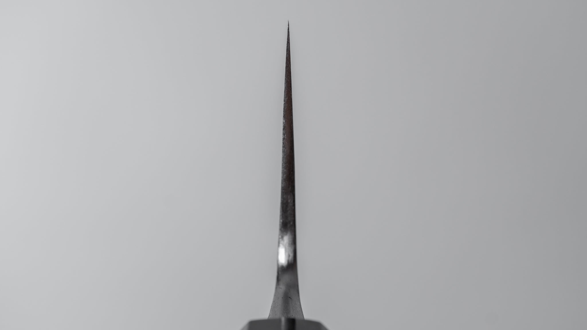 Premium Jiro Tsuchime Wa Gyuto 210mm Japanese Chef Knife - Taihei Tagayasan Handle (#302) - Perfect for Sushi, Meat Cutting & Professional Kitchen Use