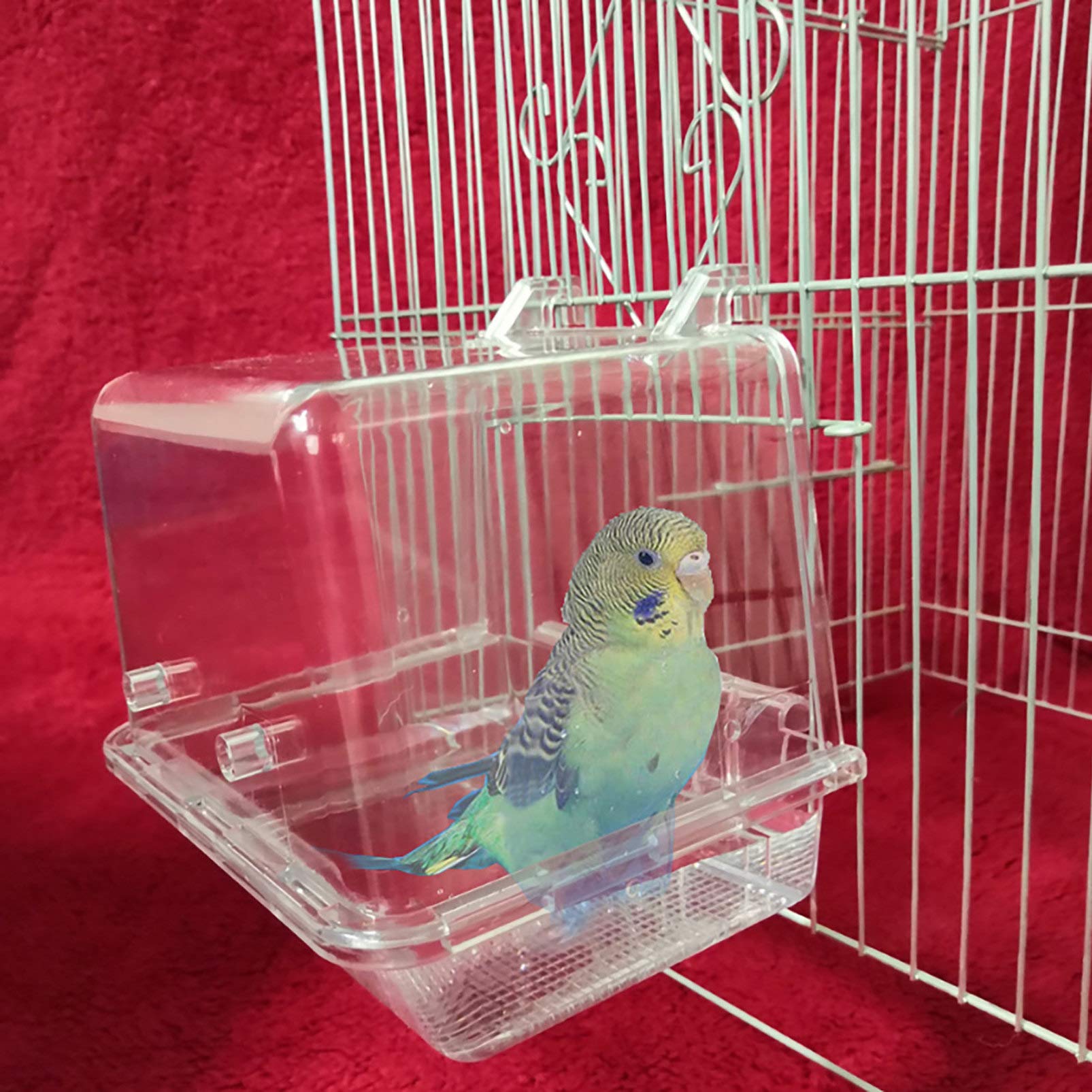 Balacoo Plastic Parrot Bath Box - Bird Bathtub & Cage Accessory for Canaries, Budgies & Small Parrots | Perfect for Cage Cleaning & Bird Grooming