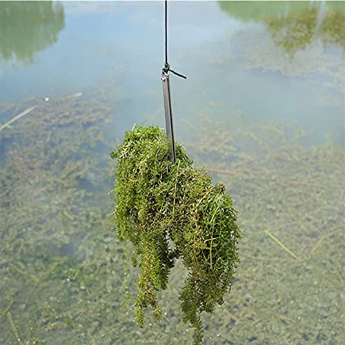 **Foldable Stainless Steel Weed Razor - Large Aquatic Plant Cutter with Serrated Blade for Pond, Lake & Garden Weed Control - Heavy Duty Grass Trimmer & Aquatic Weed Removal Tool**