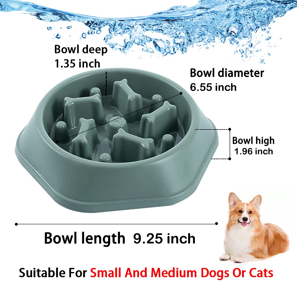 CAISHOW Slow Feeder Dog Bowl - Anti-Gulping Pet Food Dish for Healthy Eating, Bloat Prevention & Mental Stimulation | Non-Slip Interactive Design for Small & Medium Dogs | Perfect for Fast Eaters, Mealtime Enrichment & Digestive Health