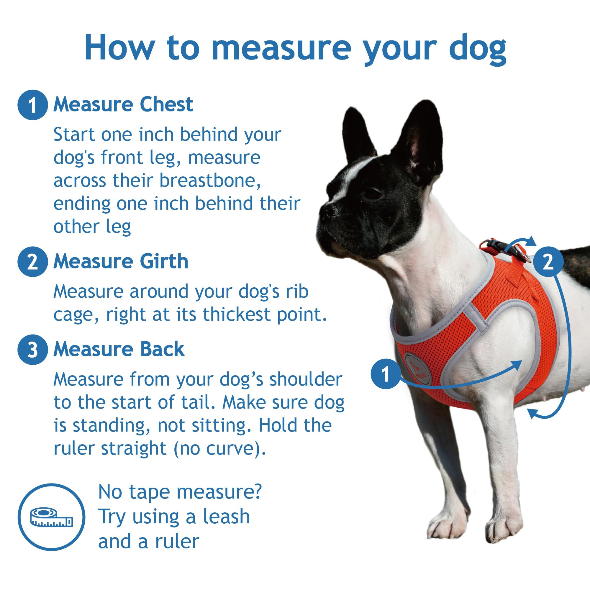 DOCO Step-in Reflective Dog Harness for Small Dogs - Adjustable Lightweight No-Pull Air Mesh Puppy Vest XS S M (Under 30 lbs) - Perfect for Night Walks, Jogging & Outdoor Adventures (Gray/Medium)