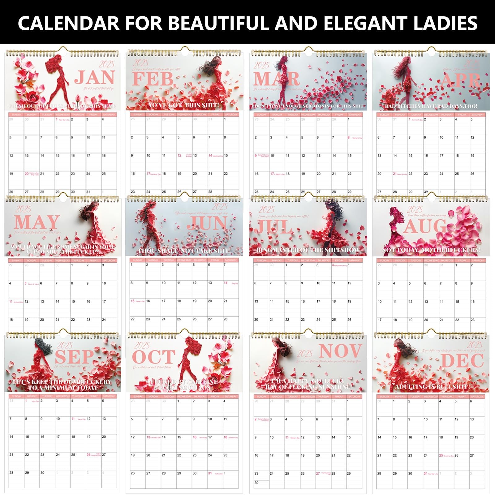 2025 F*ck It Wall Calendar - 12-Month Funny Swear Word Planner for Women | Motivational Office & Home Decor | Perfect Stress Relief Gift for Christmas & New Year (11×8.5 Inches) - Great for Work Desks, Home Offices & Gifting to Tired Friends