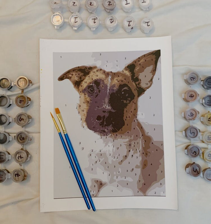 Custom Paint by Numbers Kit - Personalized DIY Portrait Painting for Adults & Beginners - Perfect for Home Decor, Gifts & Relaxation