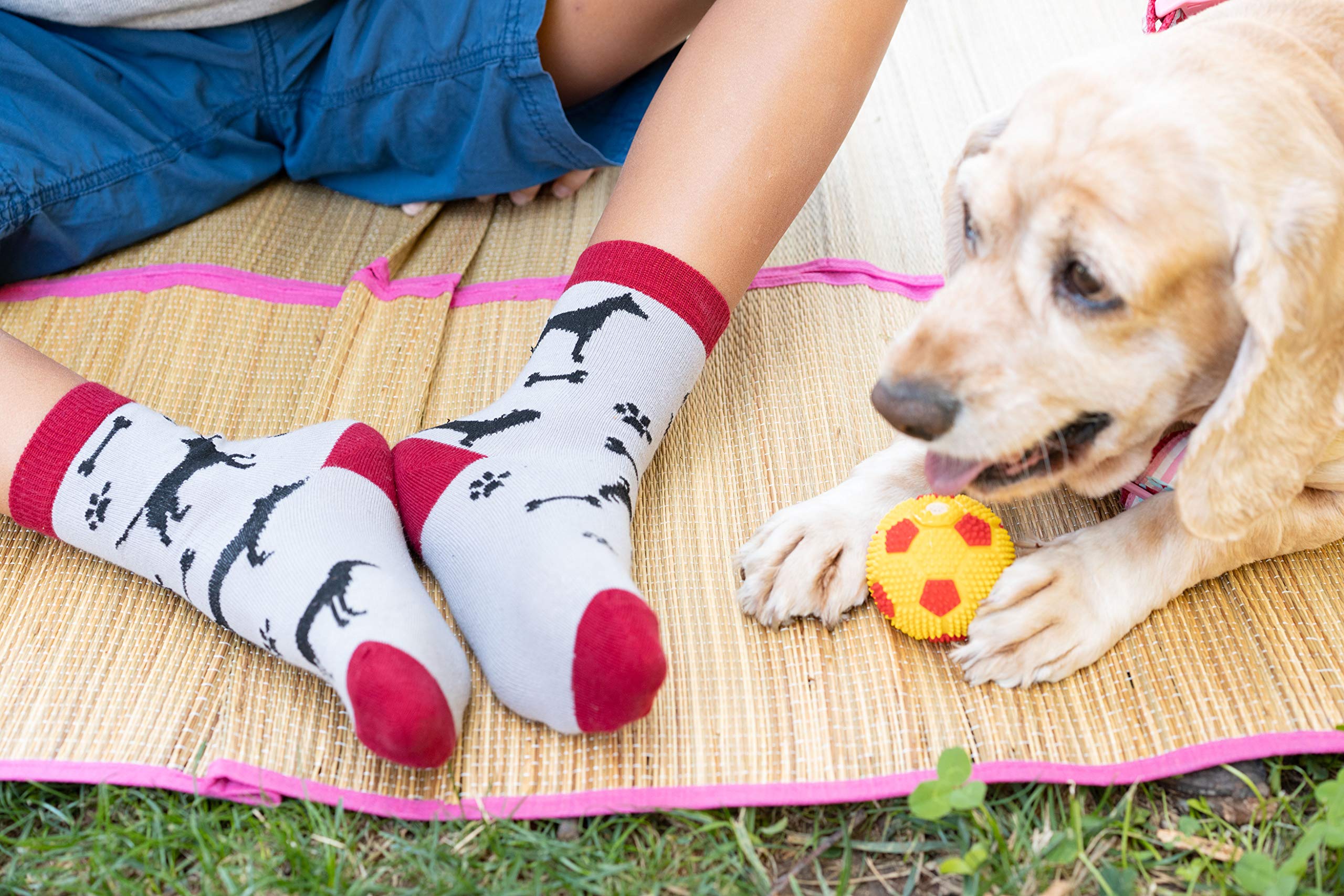 Kids 5-Pair Fun Cool Cotton Colorful Dress Crew Socks Gift Box - Soft Breathable School & Party Socks for Boys & Girls
