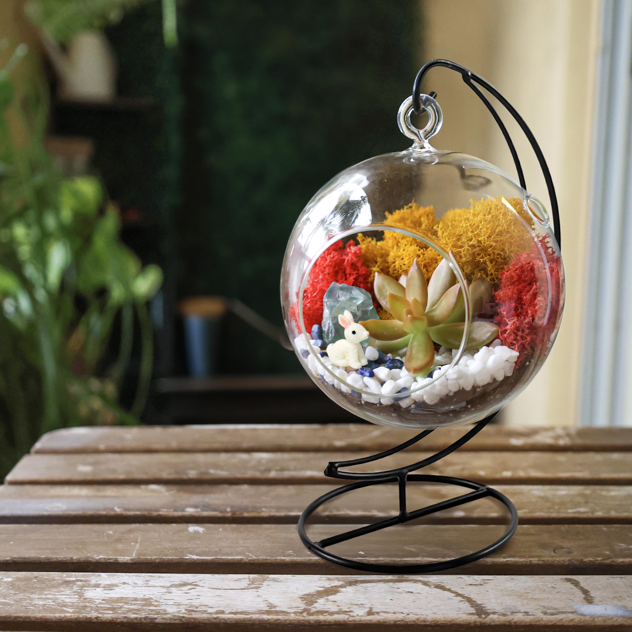 DIY Terrarium Kit for Adults & Kids - Complete Glass Hanging Planter with Stand, Moss, Crystals, Rocks & Mini Tools - Creative Home Decor & Educational STEM Gift for Plant Lovers (Perfect for Indoor Gardening, Office Desk Decor & Classroom Science Projects)