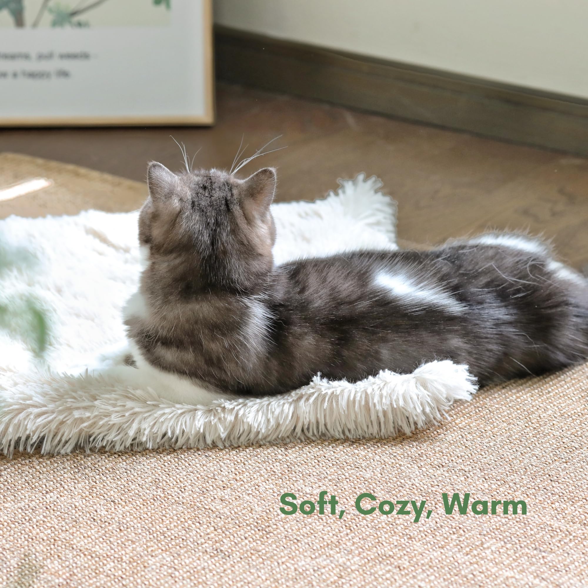 Self-Warming Cat Mat 24