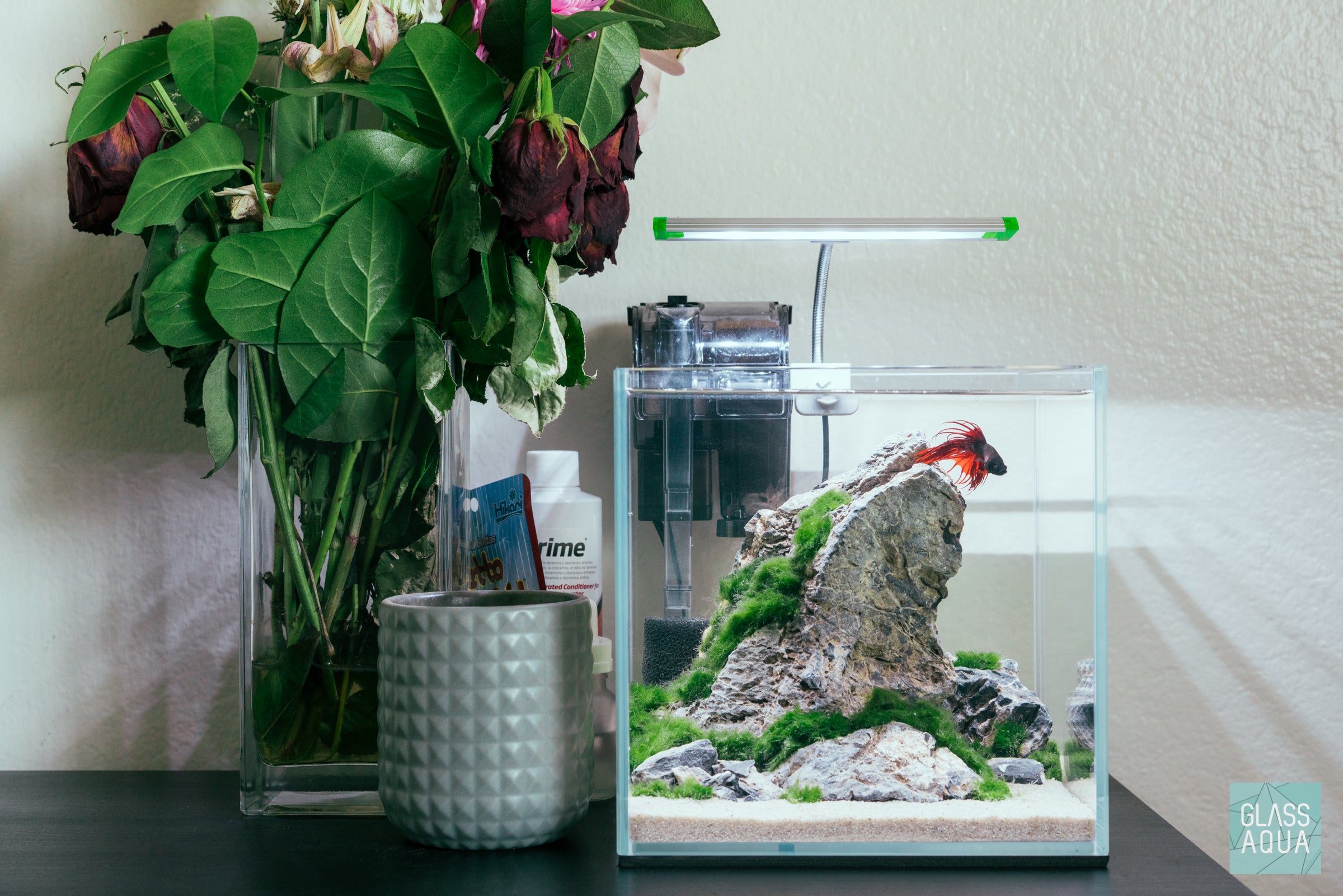 Premium Seiryu Stone for Aquascaping - Natural Blue-Grey Rock for Fish Tanks, Aquariums & Zen Gardens - Perfect for Iwagumi Layouts, Shrimp Habitats & Japanese Style Landscaping
