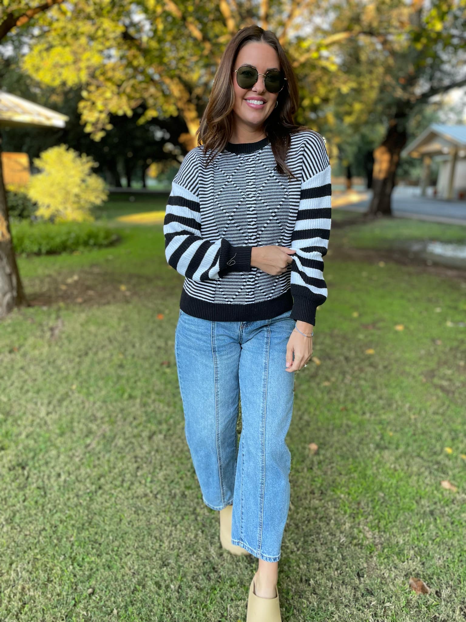 PREORDER: Aspen Striped Sleeve Sweater - 4 Color Options for Women | Cozy Fall & Winter Fashion | Perfect for Casual Outings & Office Wear
