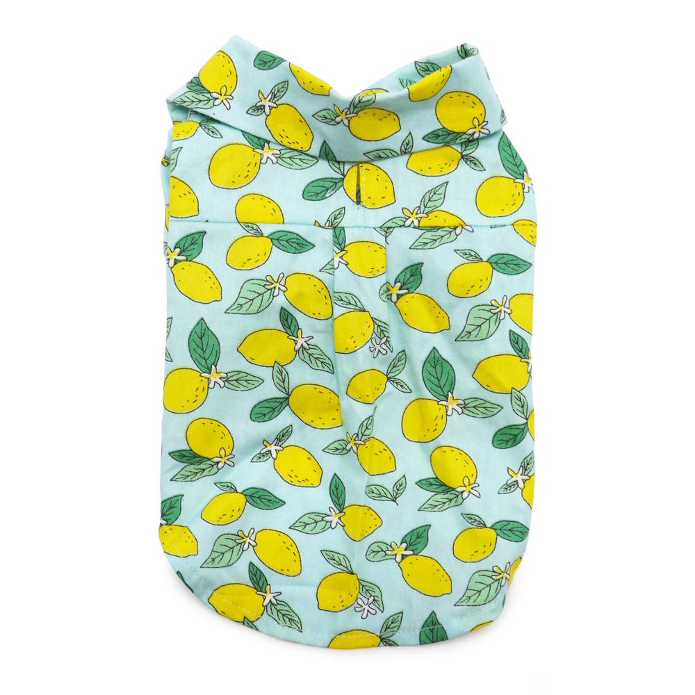Blue Lemon Print T-Shirt for Men & Women - Casual Summer Fashion Top for Outdoors, Parties & Everyday Wear