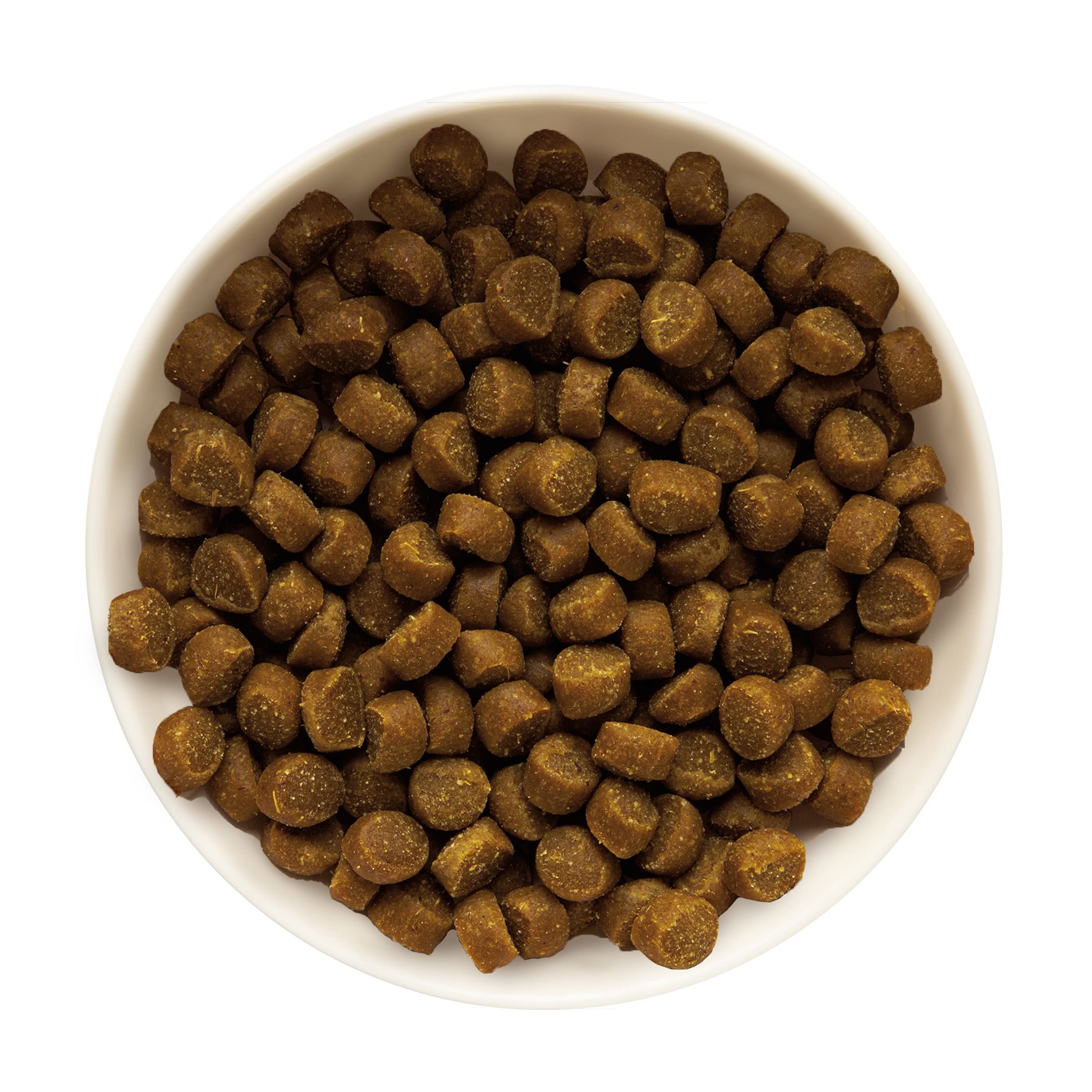 Zuke's Mini Naturals Salmon Recipe Dog Training Treats - Soft & Nutritious with Vitamins & Minerals for All Breeds - 16oz Pack - Perfect for Obedience Training & Positive Reinforcement