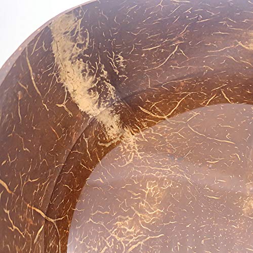 2-Pack Natural Coconut Bowls - Handcrafted Wooden Rice & Noodle Bowls for Fruit Salad, Decor, and Serving | Eco-Friendly Coconut Shell Dishes for Kitchen, Dining, and Home Decor