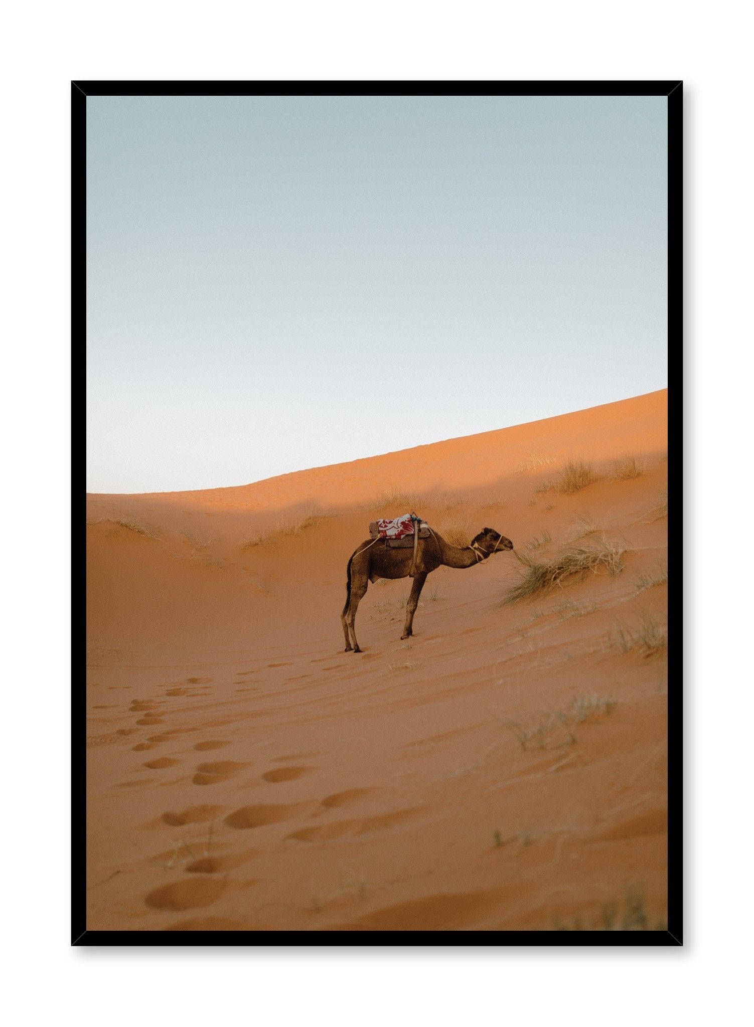 Lone Camel Wall Art Poster - Vintage Desert Animal Print for Home & Office Decor | Perfect for Living Room, Bedroom, or Office Space