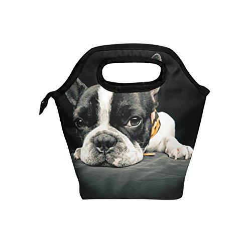 Dog Black