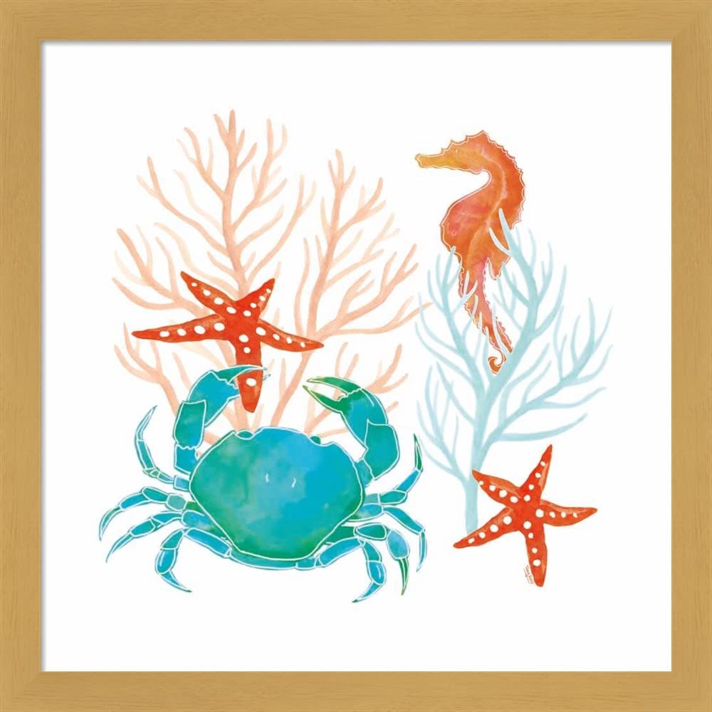 Tara Reed Coral Aqua VII Framed Art Print - 13x13 Inch Wall Decor with Deep Natural Frame - Perfect for Living Room, Bedroom & Office