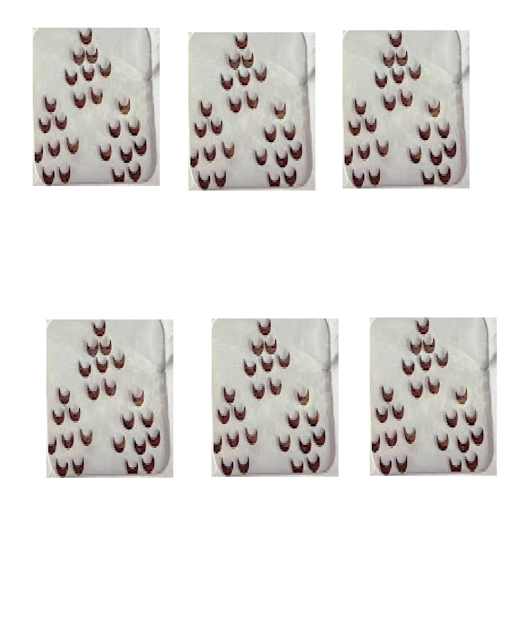 Traditional Maroon Half Moon Shape Chandrakor Tikali Bindi for Women & Girls - Pack of 6 Skin-Friendly Adhesive Forehead Stickers - Perfect for Festivals, Weddings & Cultural Events