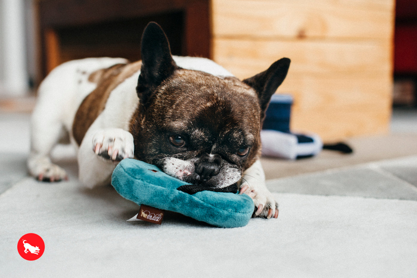 Globetrotter Dog Plush Toy - Soft & Durable Pet Slipper Chew Toy for Small & Large Dogs | Perfect for Playtime, Training & Comfort at Home | Pet P.L.A.Y.