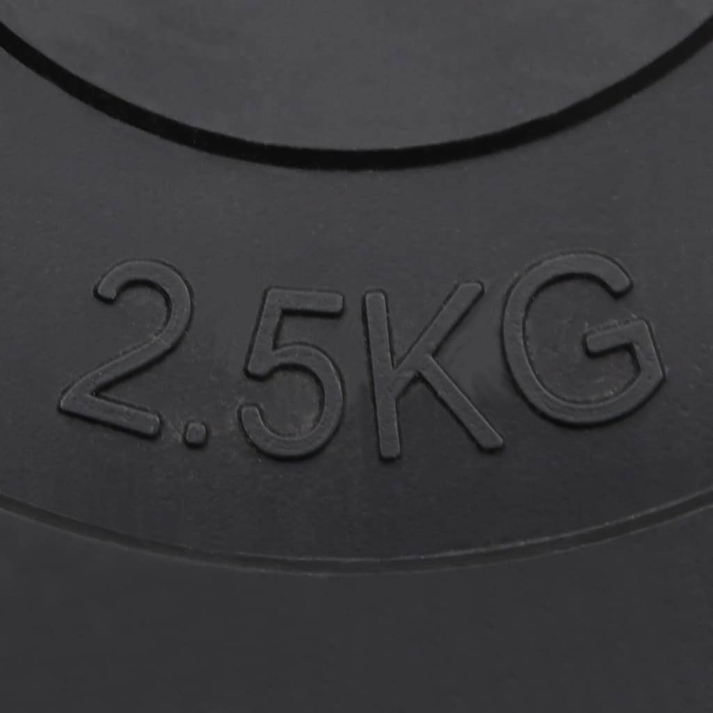 vidaXL 6-Piece 30 kg Cement Weight Plates Set for Home Gym, Strength Training & Fitness Workouts - Durable & Heavy-Duty Exercise Equipment